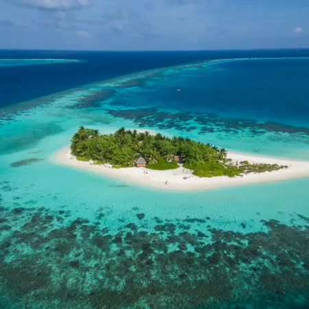 W Maldives Отели в г. Фесду