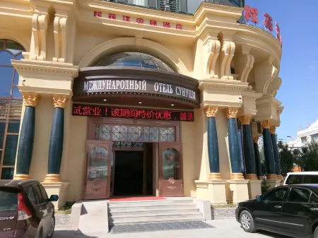 Songhuajiang International Hotel Отели в г. Тунцзян
