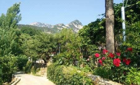 Mengyin Yuyuan Homestay - Housity