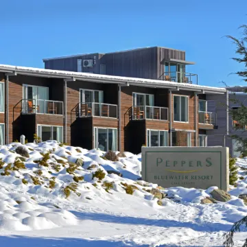 Peppers Bluewater Resort Hotels near Chameleon Stargazing Booking Office