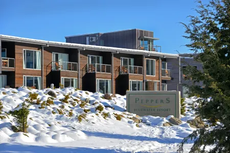 Peppers Bluewater Resort Отели рядом с достопримечательностью «Mackenzie Sheep Dog Statue»