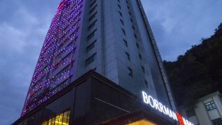 borrman-hotel