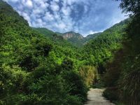 安吉竹隐山居农家乐 - 酒店景观