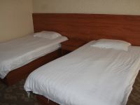 德州六六商务宾馆 - 特价双床房