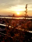 Gulangyu Chuncao Fragrance Seaview Villa (Sanqiutian Wharf Branch) - Inns