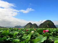 普者黑仙缘客栈 - 湖景标间