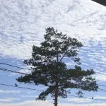 呼瑪驛旅假日賓館