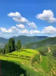 Yun Shang Wu Tian Guesthouse - 마운틴 뷰