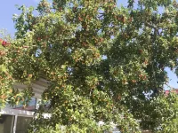 Panjin Huidong Homestay