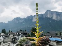 恩施云雾山居民宿 - 绝美峡谷山景亲子房