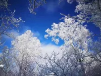 Snow Valley Snow's Fate Inn (China Snow Valley Scenic Spot)