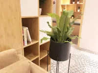 攜家會朋飯店（省博物院國貿360店） 博雅體育運動俱樂部-游泳館附近的飯店