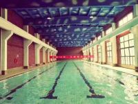 洛阳曼景大酒店 - 室内游泳池