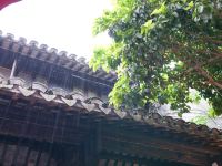 西塘沐苒祥瑞客栈 - 花园