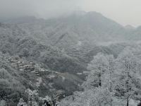 青城山幽悟原宿客栈 - 其他