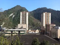 YJNYBG Hotels in Yanjin