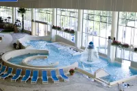 Phoenix Resort Pyeongchang - Family