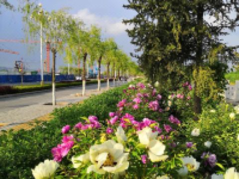 临夏荣科饭店 - 酒店景观