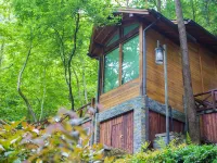 Ninghai Forest Hot Spring Resort Hotels in Ninghai