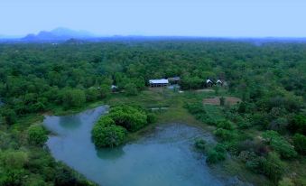 Ehalagala Lake Resort