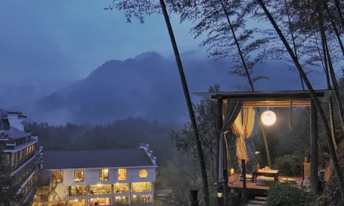 Wuyishan Hongpao Xunyou Tea Space Aesthetics Holiday Mountain Residence