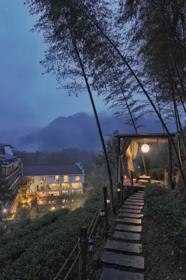 Wuyishan Hongpao Xunyou Tea Space Aesthetics Holiday Mountain Residence