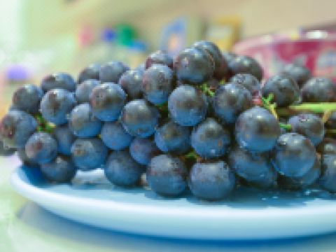 永寿丽晶假日酒店 - 其他