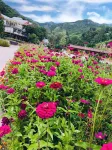 Jinyuanshanzhuang Hotels near Yesanpo White Grass Scenic Area