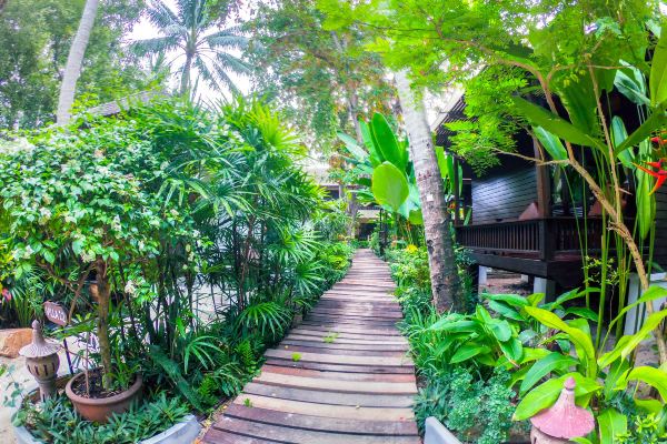 차웽 가든 비치 리조트(Chaweng Garden Beach Resort)_5