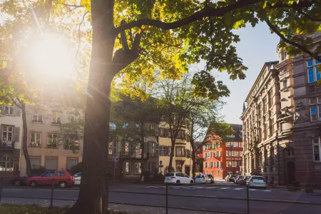 Hôtel du Dragon Отели рядом с достопримечательностью «Fontaine de Janus»