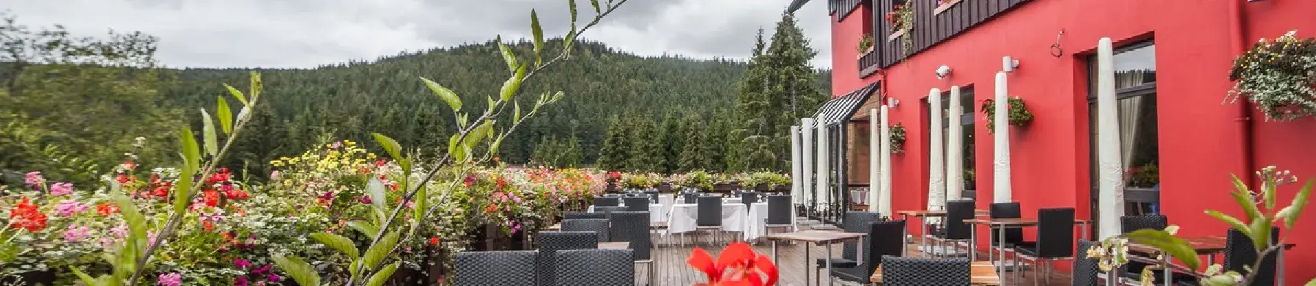 4-Star Select Hotels