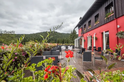 Hôtel Restaurant Spa les Jardins de Sophie Hotels in Vosges