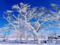 雪谷山裡娃驛站