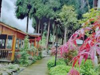 西岭雪山蓝调森林民宿 - 公共区域