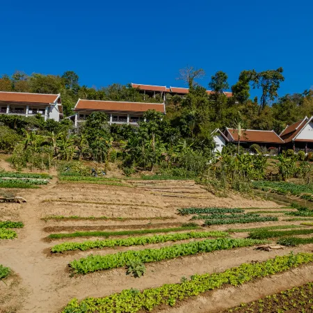 The Sanctuary Pakbeng Lodge