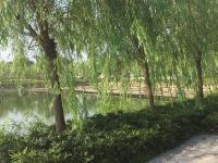 杭州奥莱民宿 - 花园