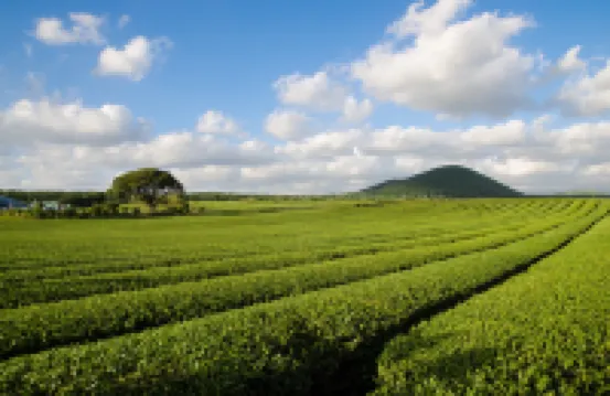 濟州神話世界神話度假村