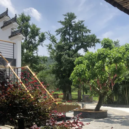 Ginkgo Courtyard