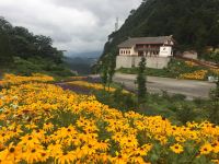 祎祾之家民宿(重庆丽景风情苑店) - 家庭房