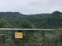 天台山绿林酒店 - 酒店景观