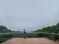 青城山桐去山境酒店 - 十里山境豪华景观房