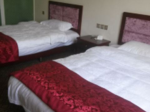 青川醍醐阁酒店 - 标间