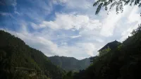 Wangshan Yinsu