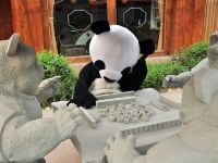 峨眉山好多熊猫酒店 - 公共区域