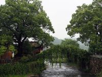 桐庐龙吟居民宿 - 酒店附近