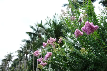 7 Days Premium Hotel (Zhanjiang Chikan Pedestrian Street Lingnan Normal University)