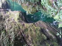 鹤峰颐馨宾馆 - 酒店附近