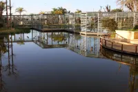 Qinglang Holiday Hotel Fuxian Lake Hotels in Chengjiang