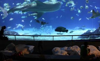 National Museum Marine Biology & Aquarium