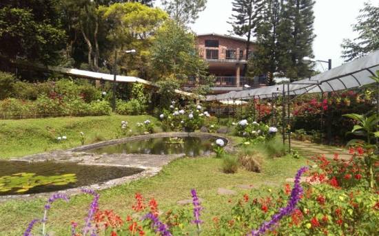 The Pinewood Lodge Organic Farm Citapen Updated 2022 Price Reviews Trip Com